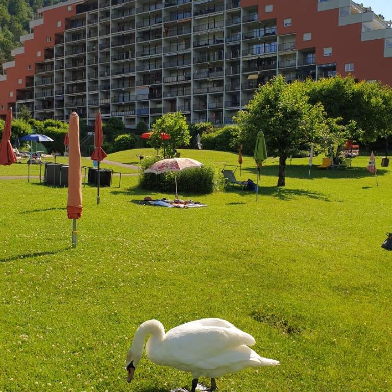 LB5 Seeappartement Haus Landskron mit direktem Seezugang am Ossiachersee - Apartment mit 1 Schlafzimmer - 28