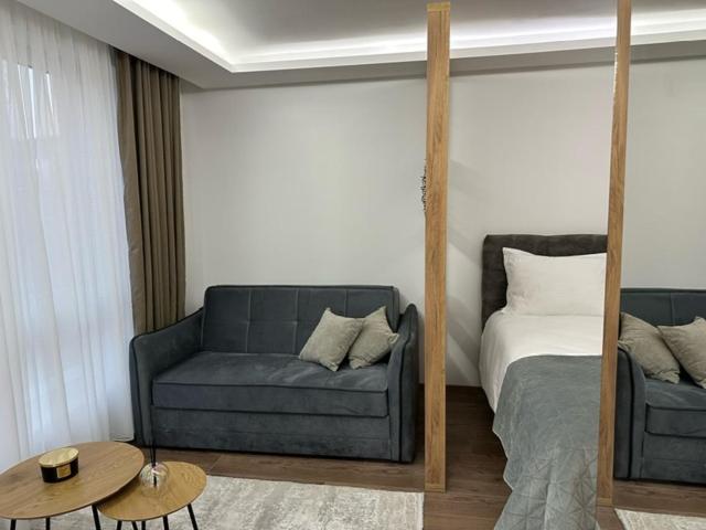 Milanovic Apartman - Apartman sa 1 Spavaćom Sobom - 2