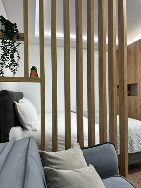 Milanovic Apartman - Apartman sa 1 Spavaćom Sobom - 3