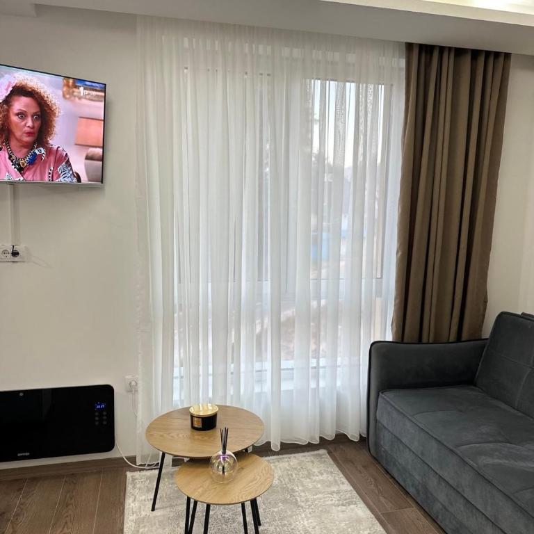 Milanovic Apartman - Apartman sa 1 Spavaćom Sobom - 6