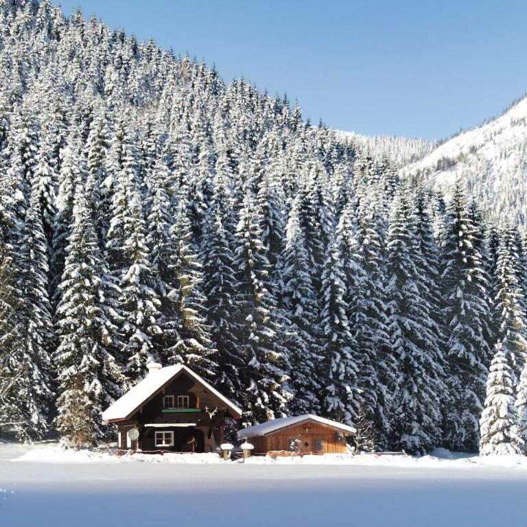 Großmitt - Chalet - 5