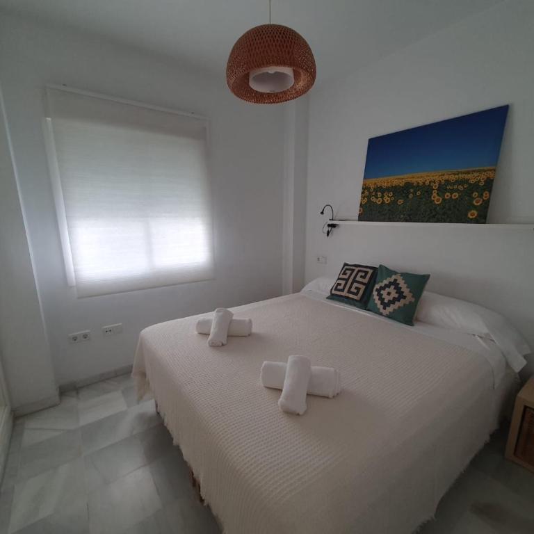 Larga 109 - Apartamento de 2 dormitorios - 12