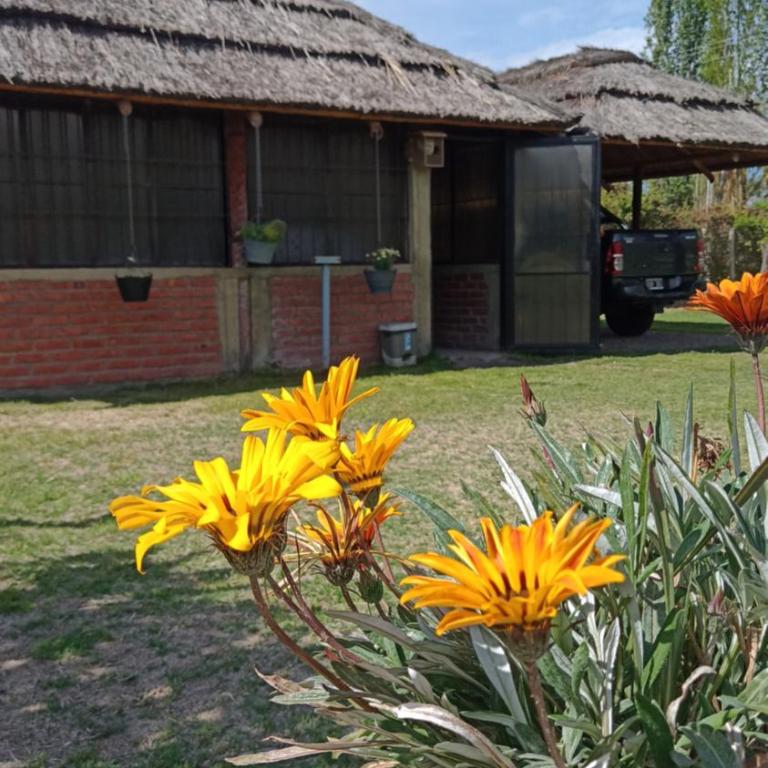 Quinta Los Olivos - Casa de 3 dormitorios - 15