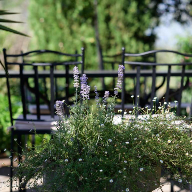 Il Giardino segreto - Il rifugio degli artisti - Casa con 2 Camere da Letto - 34