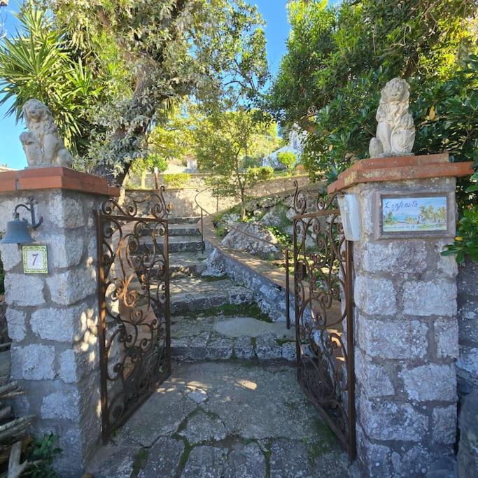 Casa Infinito - Villa - 28