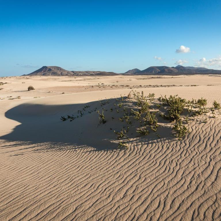 Acoran Beach Corralejo by Sea You There Fuerteventura - Casa de 2 dormitorios - 35