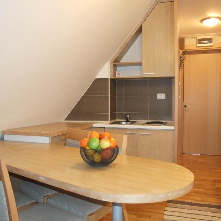 Apartmani Kopaonik Centar Maglic - Studio Apartment - 2