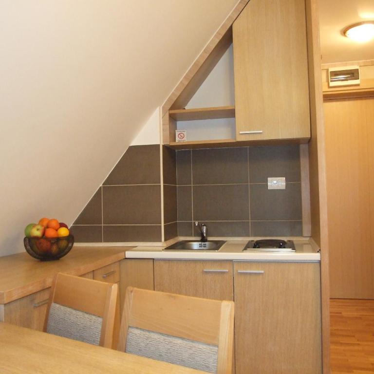 Apartmani Kopaonik Centar Maglic - Studio Apartment - 9