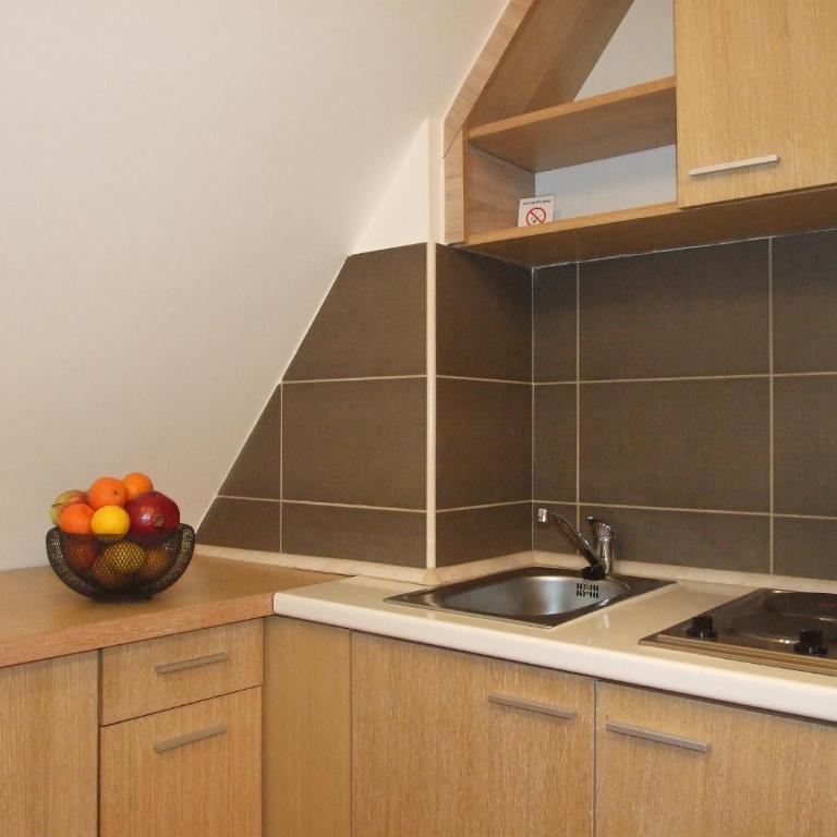 Apartmani Kopaonik Centar Maglic - Studio Apartment - 6