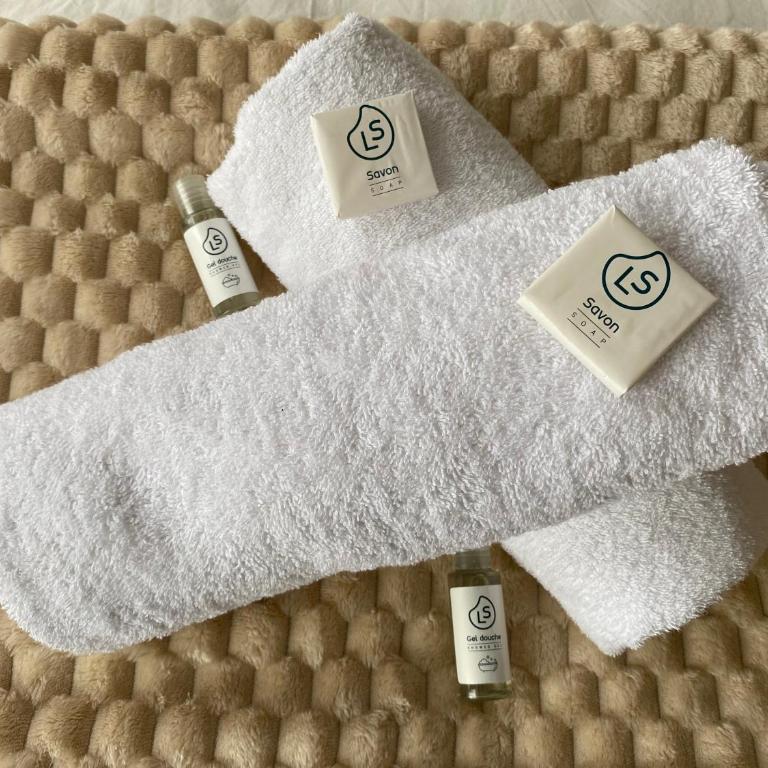 Paris Porte de Versailles Cosy Lodge 2 Appart parking wifi 4 pers - Appartement 1 Chambre - 21