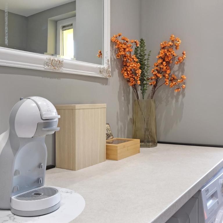 Apartman Paradise Slavija Uno - Studio - 17