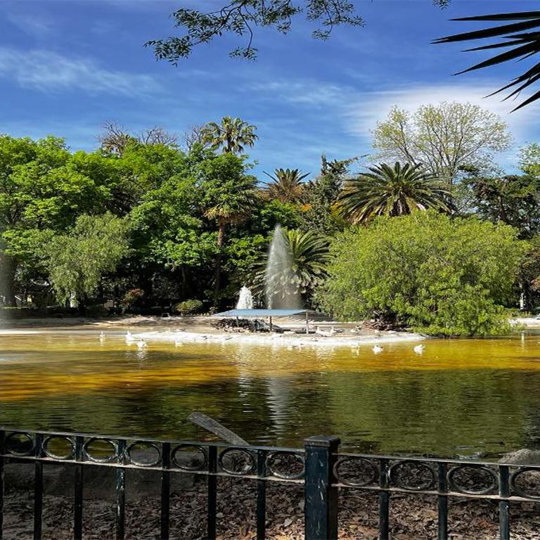 Discover Condesa Ideal Location - Habitación Estándar - 1 cama grande - 2