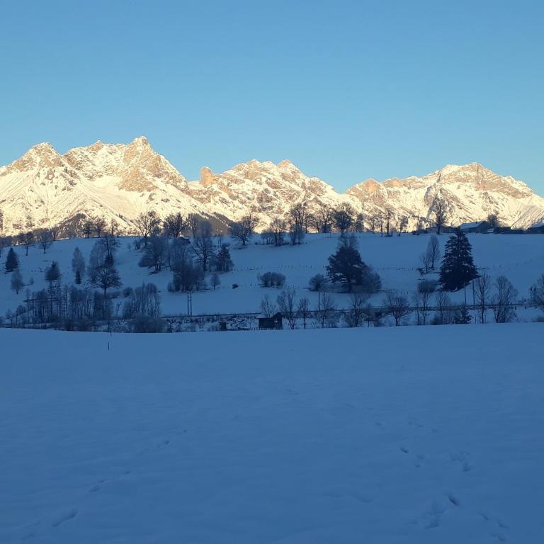 Apartchalet Sisi- including Saalfelden Leogang Card - Apartment mit 2 Schlafzimmern und Terrasse - 23