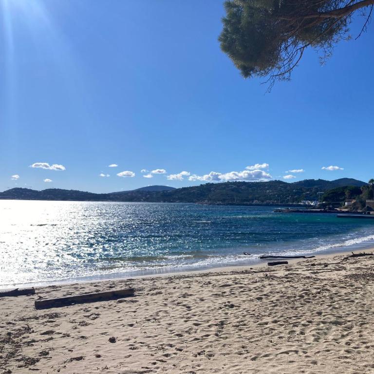 FASLAM 1455 - Villa - Vue sur Mer - 42