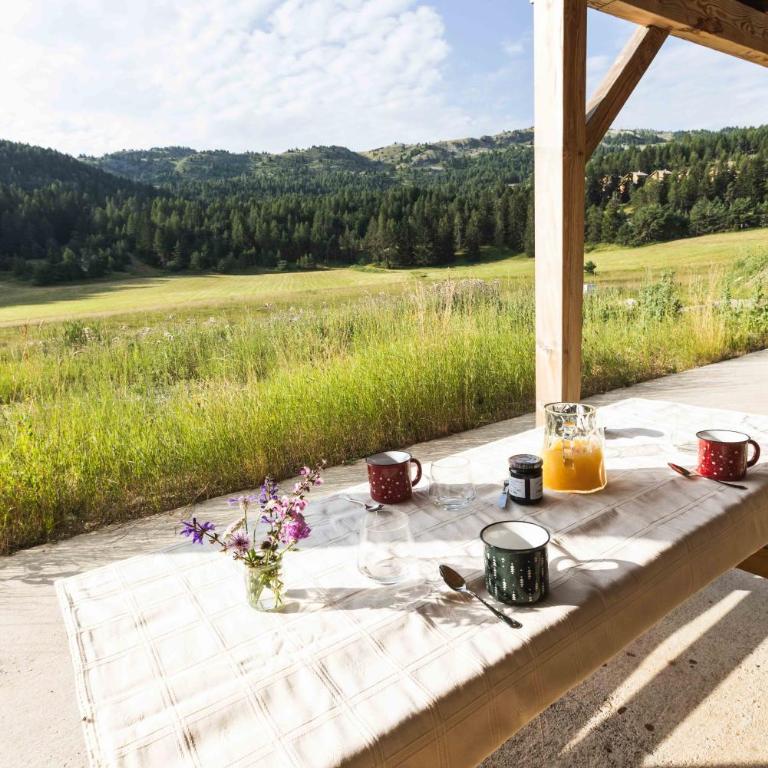 Appartement lumineux neuf dans bas de chalet LE DOUGLAS - Appartement 2 Chambres avec Terrasse - 13