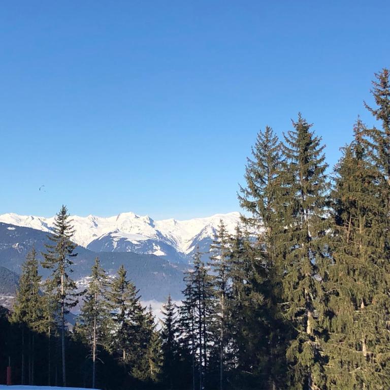 Appartement de charme Courchevel 1550 - Apartment mit 3 Schlafzimmern - 9