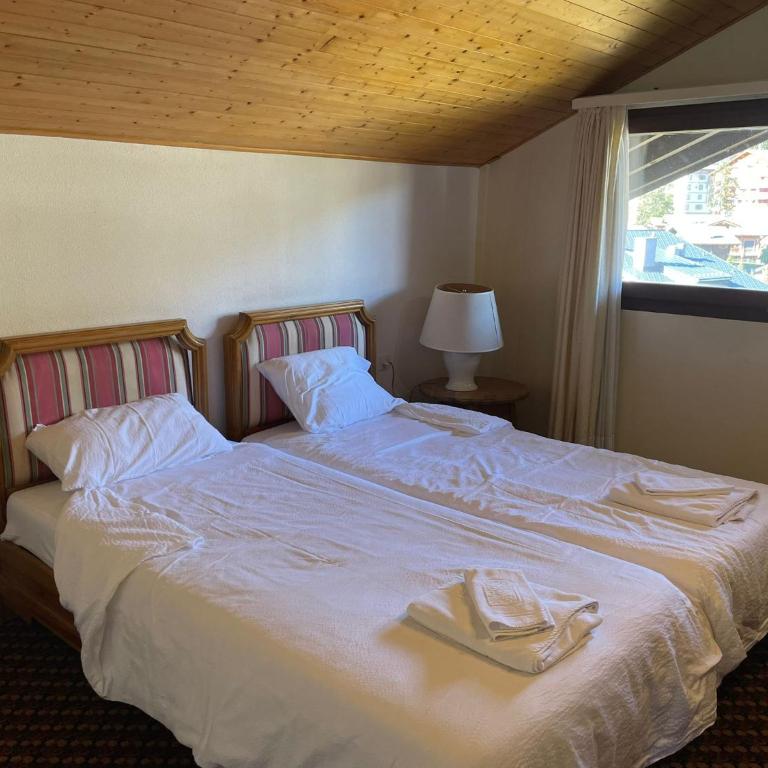 The Vintage at Crans-Montana - Appartement avec Vue et Balcon - 10