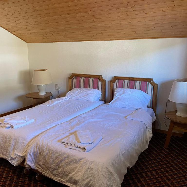 The Vintage at Crans-Montana - Appartement avec Vue et Balcon - 13