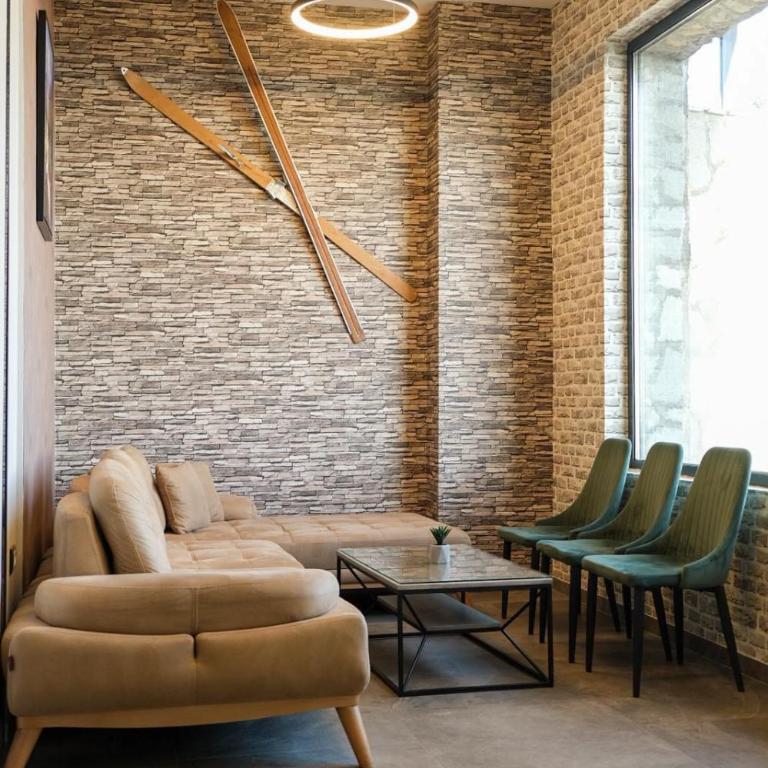 Vila Golija VM Apartment - Apartman sa 1 Spavaćom Sobom - 20