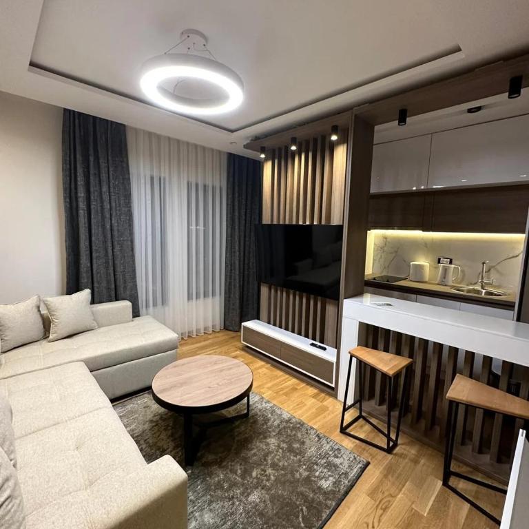 Vila Golija VM Apartment - Apartman sa 1 Spavaćom Sobom - 25