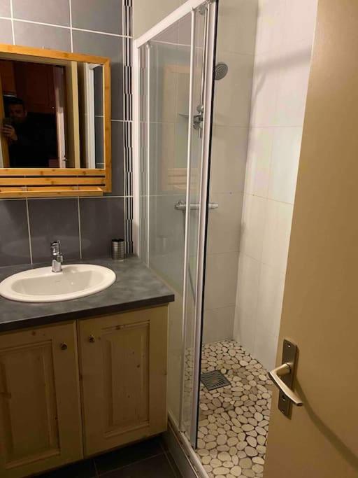 Appartement aux Coches skis aux pieds - Apartment mit 2 Schlafzimmern - 2