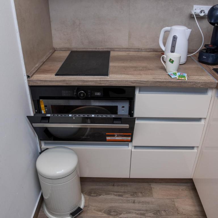 Vila Montana, Kopaonik, Apartman Ivony - Porodični Apartman s 1 Spavaćom Sobom - 9