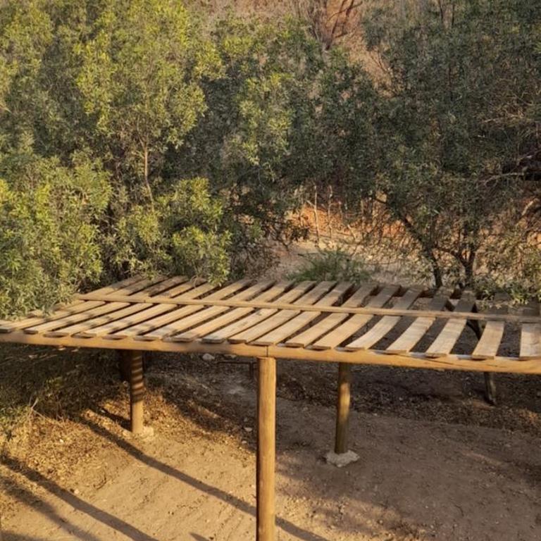 Cabañas PLÉYADES - One-Bedroom House - 30