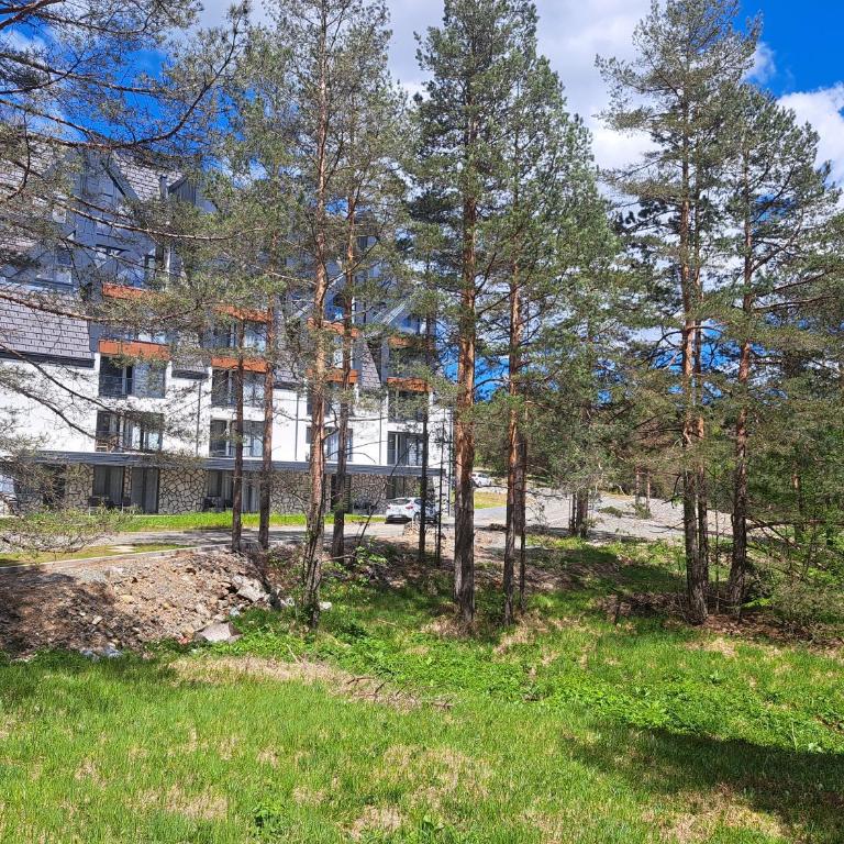 zeleni bor Divcibare - Apartman sa 1 Spavaćom Sobom - 34