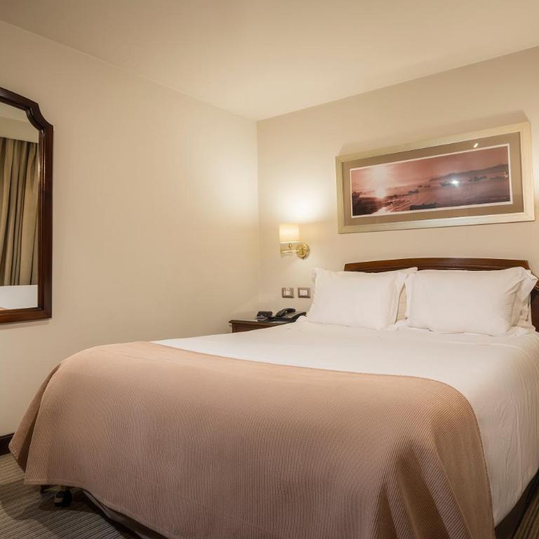 Hotel Los Españoles Plus - Habitación Doble Superior - 8
