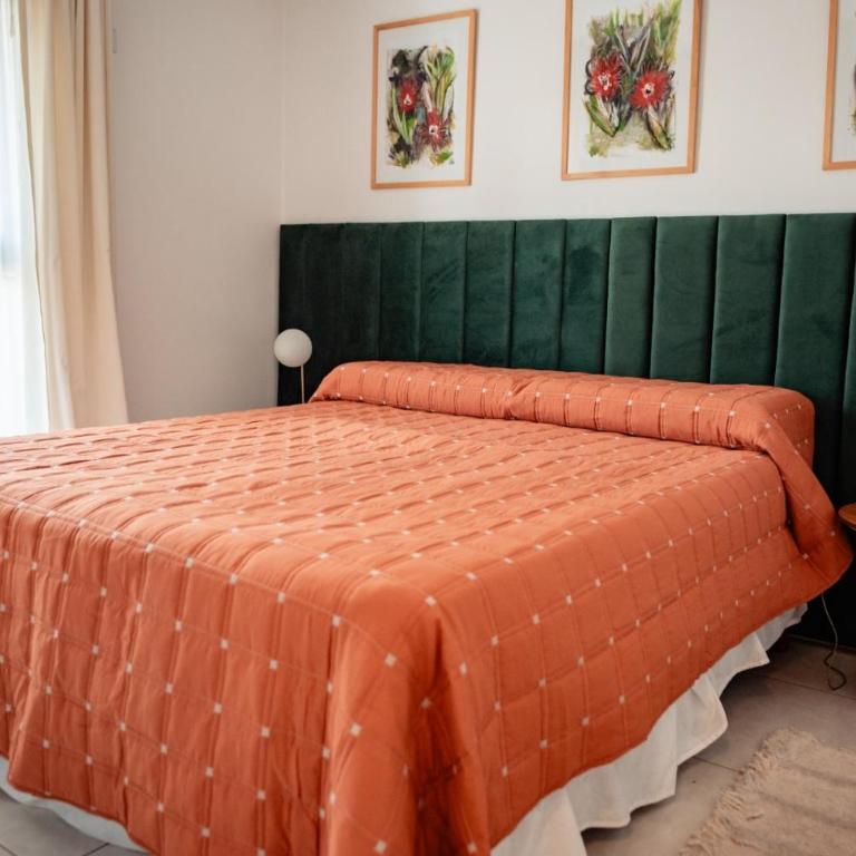 Fabiola - Apartamento de 1 dormitorio - 38