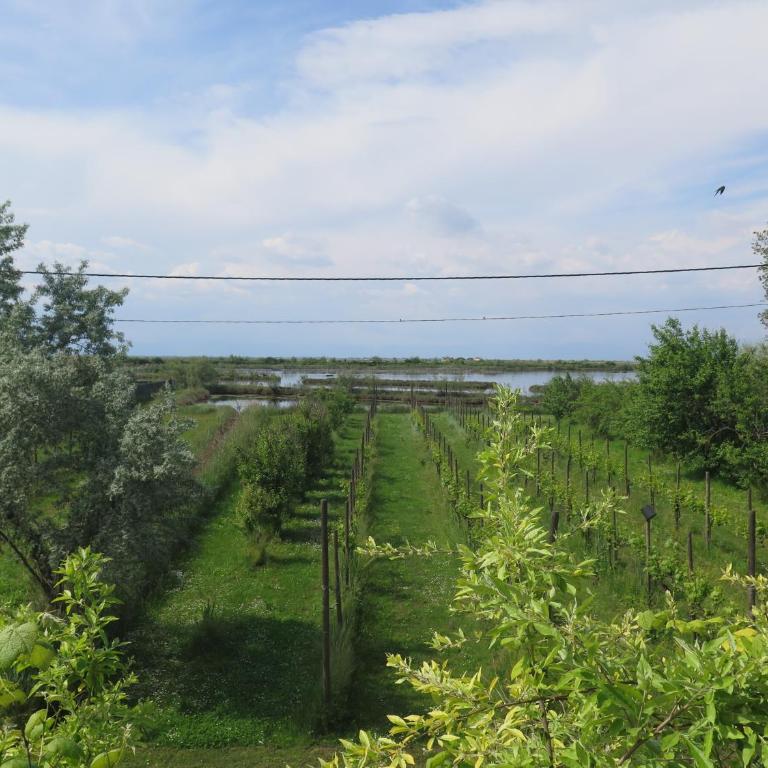 Tenuta Lio Maggiore - Appartamento con 1 Camera da Letto - 6