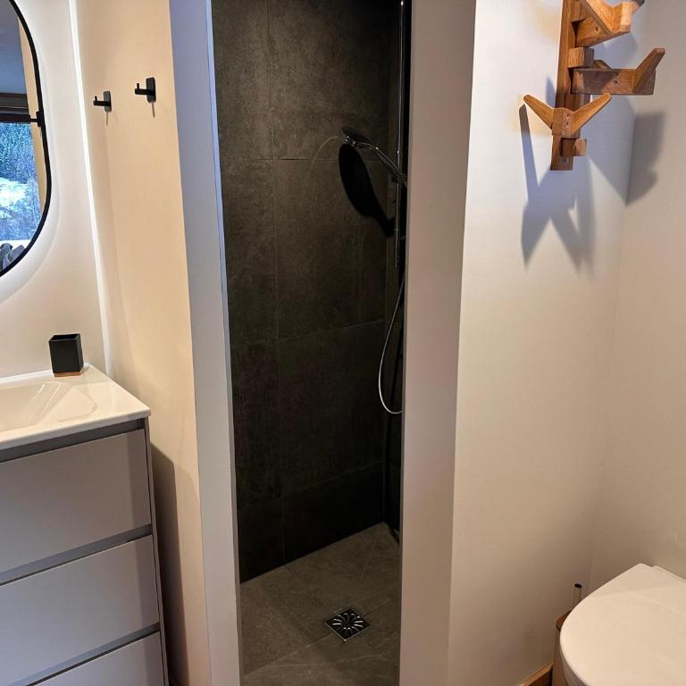Somptueux appartement neuf, jardin sud, parking privé - FR-1-464-243 - Appartement - 9