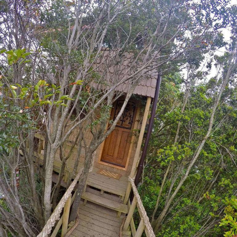 La Casa Del Árbol De Chiloé - Casa - 21