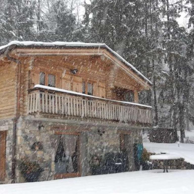 Chalet LES CLARINES - Chalet 2 Chambres - 3