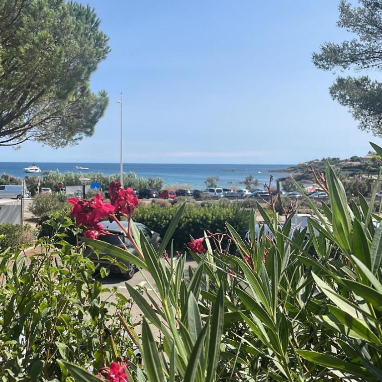 Les Issambres, appt accès direct plage sable, idéal 4 pers, vue mer, Clim - Appartement - Vue sur Mer - 15