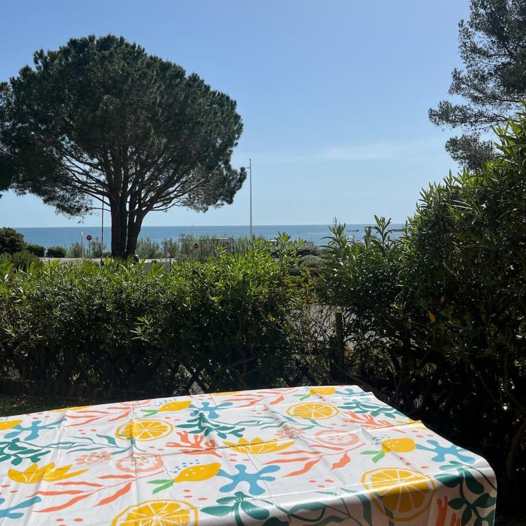 Les Issambres, appt accès direct plage sable, idéal 4 pers, vue mer, Clim - Appartement - Vue sur Mer - 17