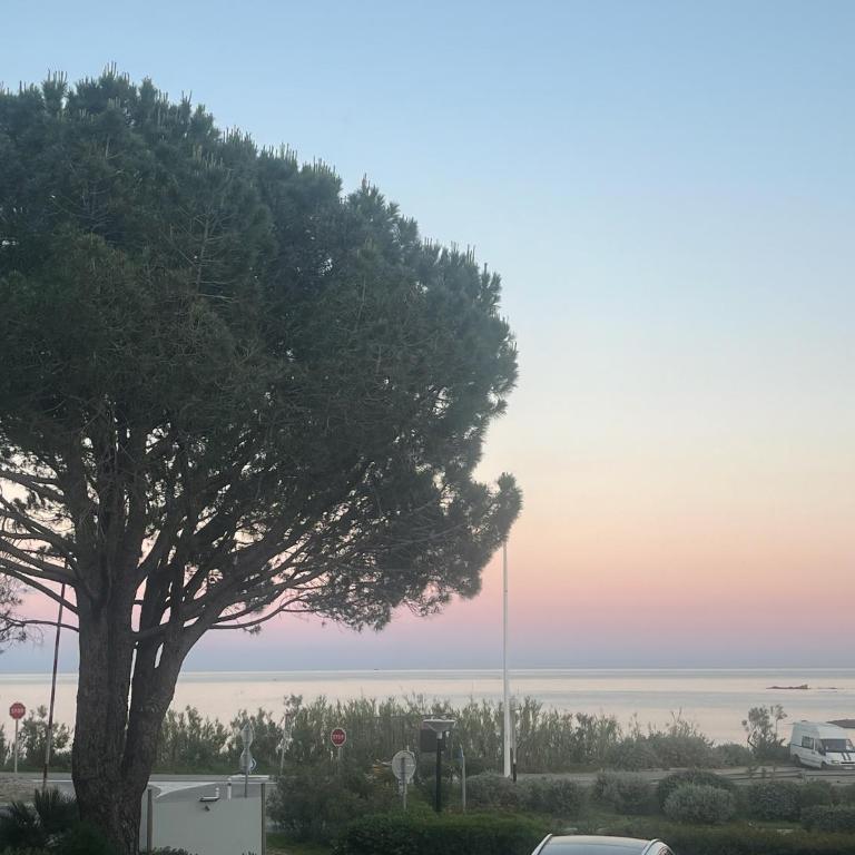 Les Issambres, appt accès direct plage sable, idéal 4 pers, vue mer, Clim - Appartement - Vue sur Mer - 20