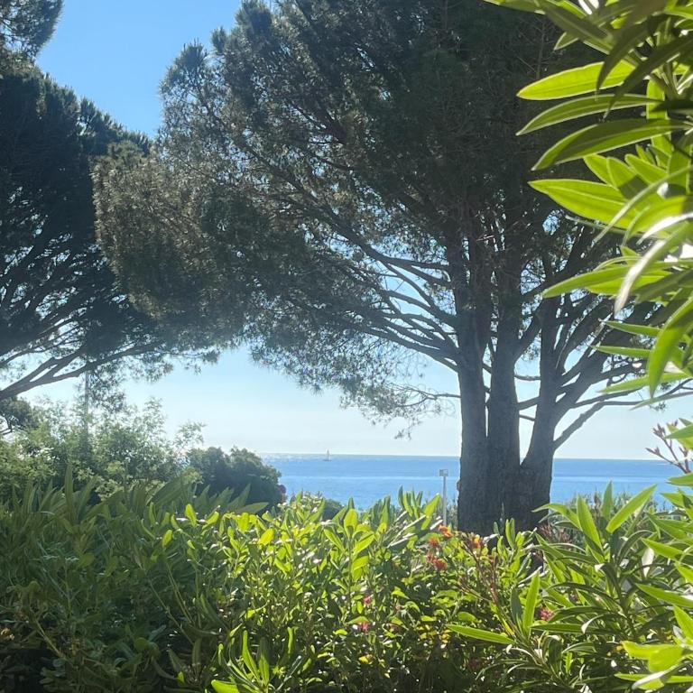 Les Issambres, appt accès direct plage sable, idéal 4 pers, vue mer, Clim - Appartement - Vue sur Mer - 19