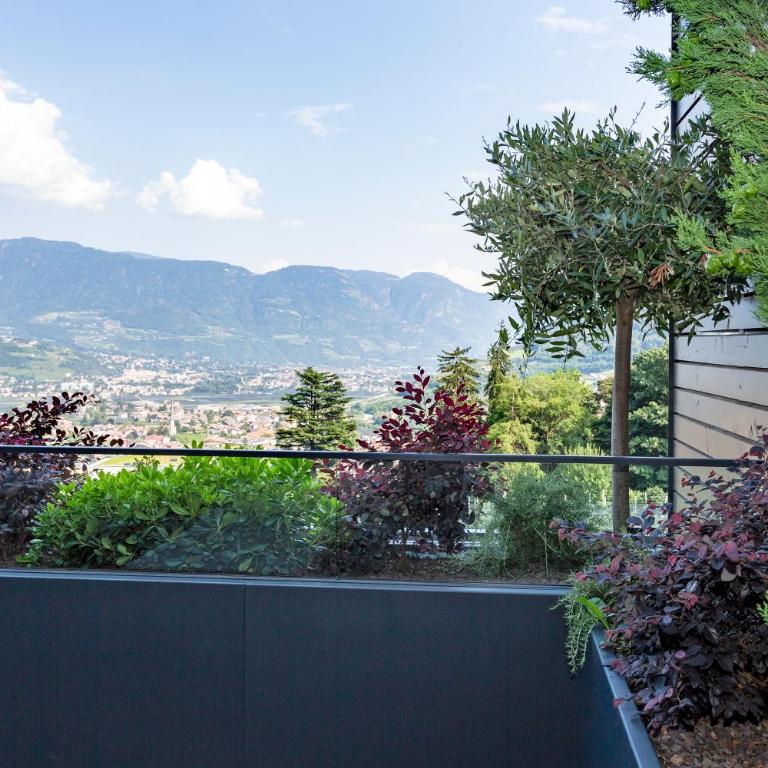 Avidea - Adults Only - Suite con 2 Camere da Letto e Terrazza - 6