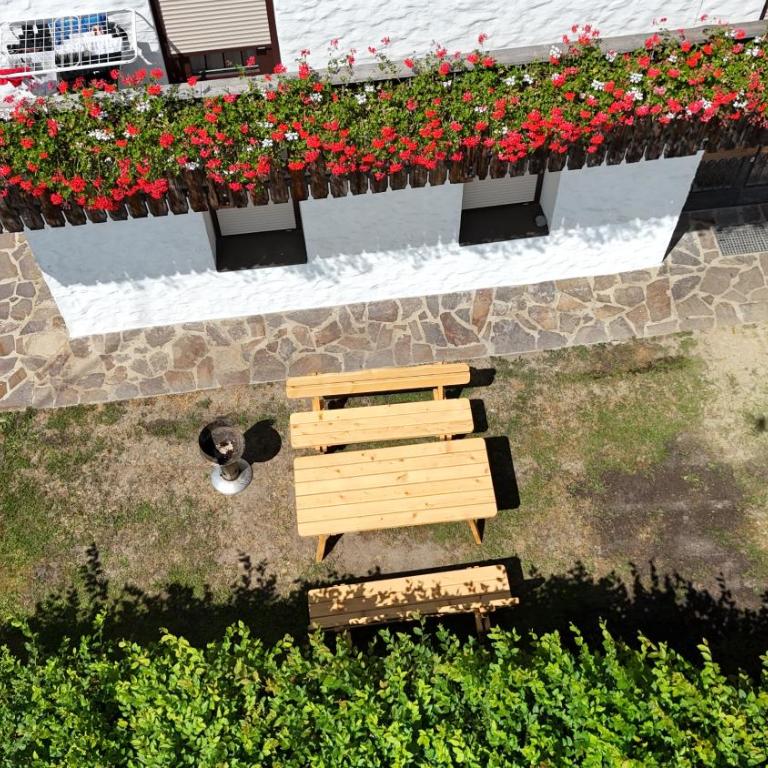 Alpenblick FeWo Hauser - Apartment - Erdgeschoss - 26
