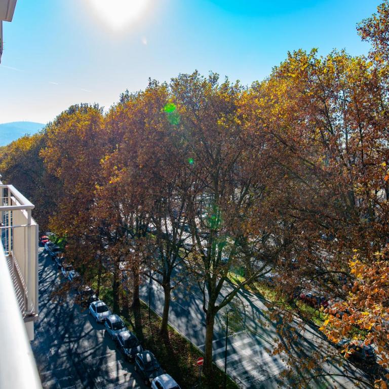 Nova House, Airco, Park su strada gratis by HAPPYHOSTORINO - One-Bedroom Apartment - 55