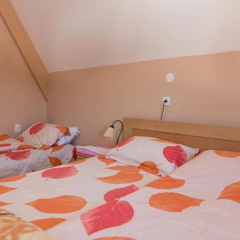 Vila Zlatna Pahulja - Apartman sa 2 Spavaće Sobe - 8