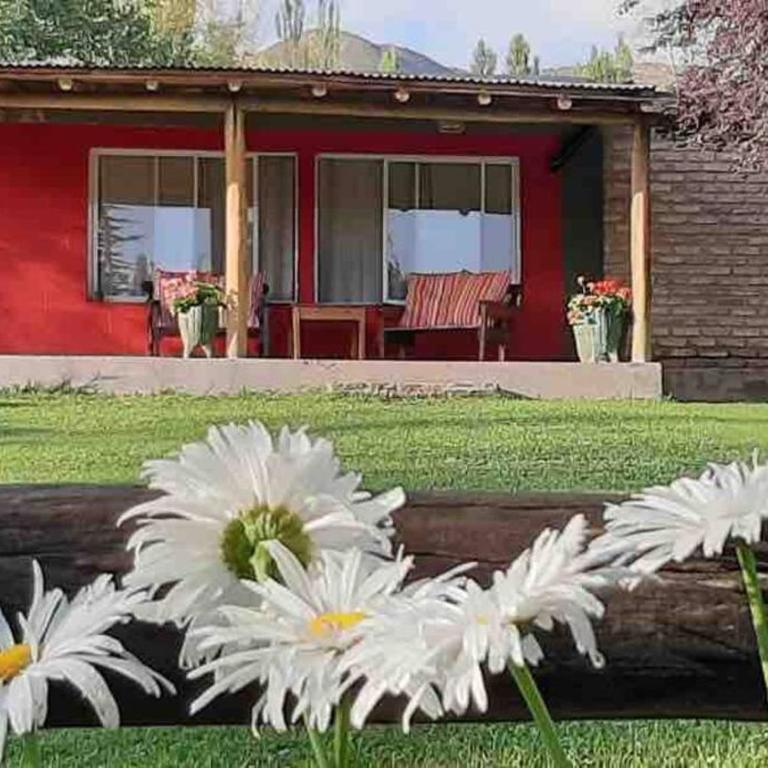 Cabaña El Corral, La Pionera, Potrerillos - Apartamento de 3 dormitorios - 1