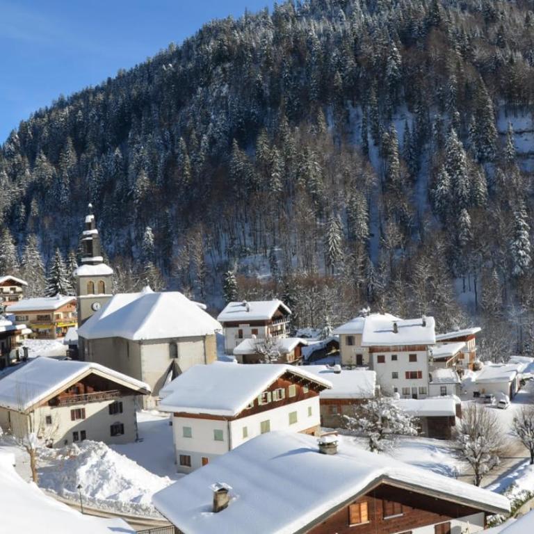 Le Petit Aravis - village et vue panoramique - Appartement - 11