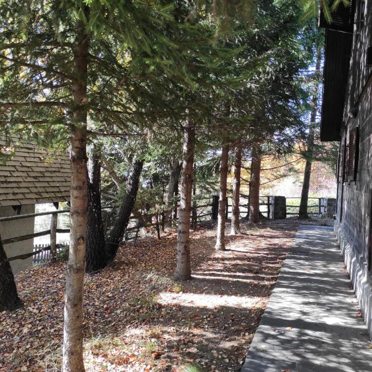 Drvenica Cabin - Three-Bedroom House - 10