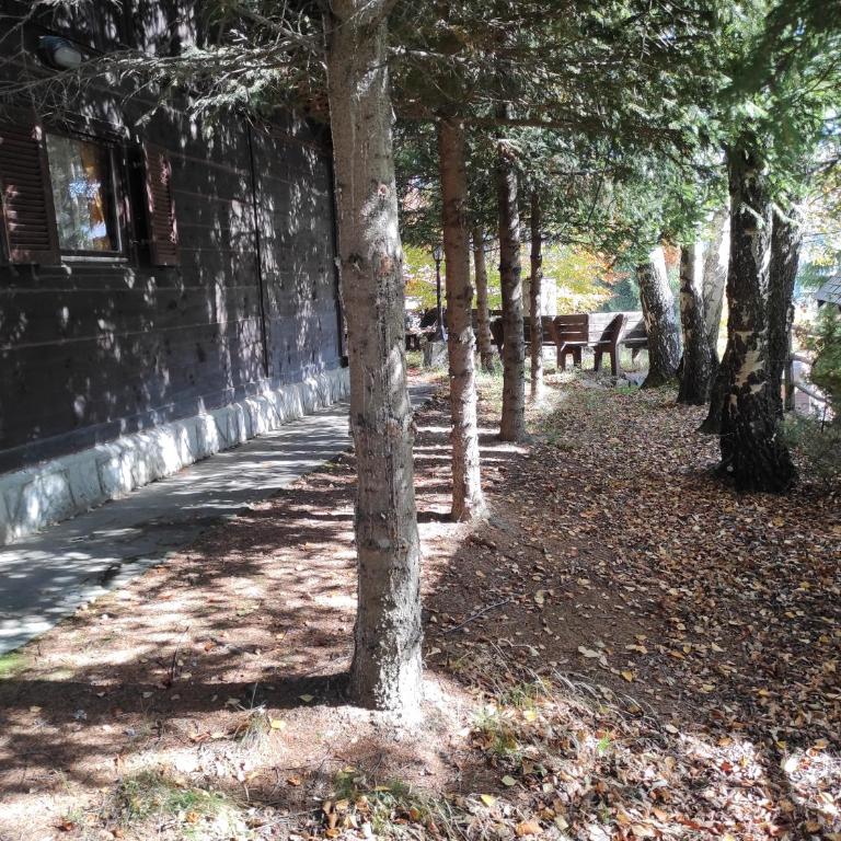 Drvenica Cabin - Three-Bedroom House - 11