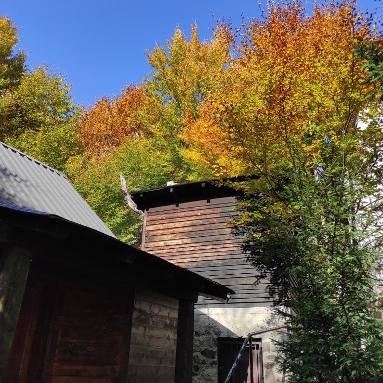 Drvenica Cabin - Three-Bedroom House - 14