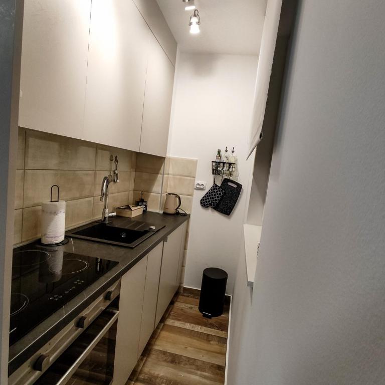 Apartman Lumos - Apartman sa 1 Spavaćom Sobom - 3