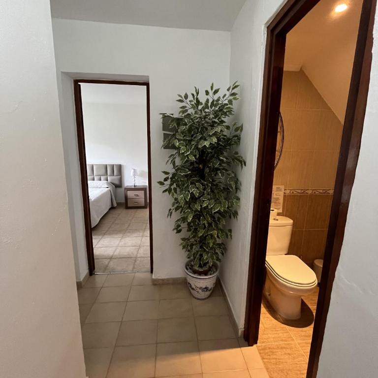 Estepona - Playa - 2 dormitorios con amplio jardín al lado del mar Ev1 - Apartamento - 21
