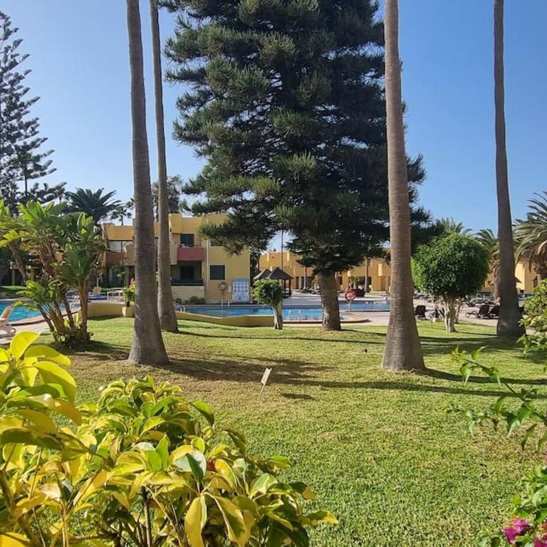 Atlantic Garden Charli Beach - Apartamento de 1 dormitorio - 1